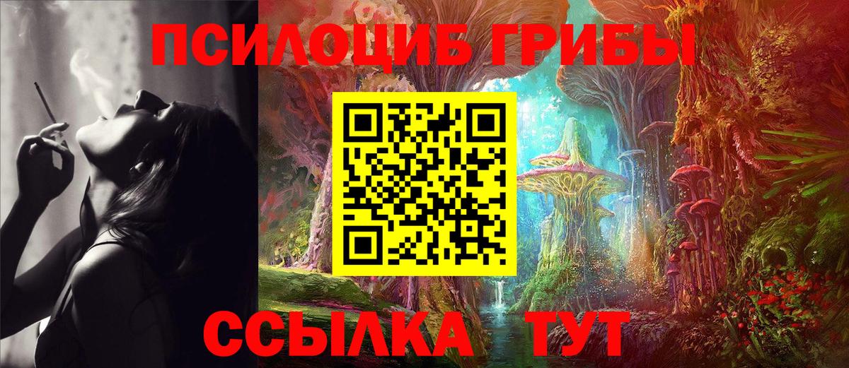 Нижнеудинск  купить наркоту  Вход с VPN  Галлюциногенные грибы Magic Shrooms 