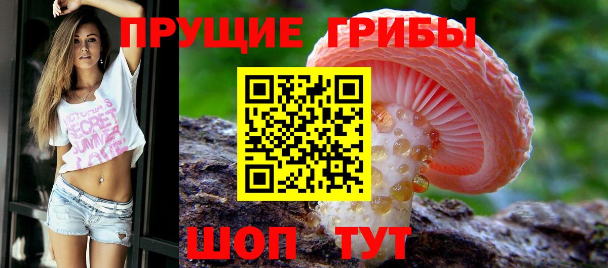 Галлюциногенные грибы Psilocybe Нижнеудинск